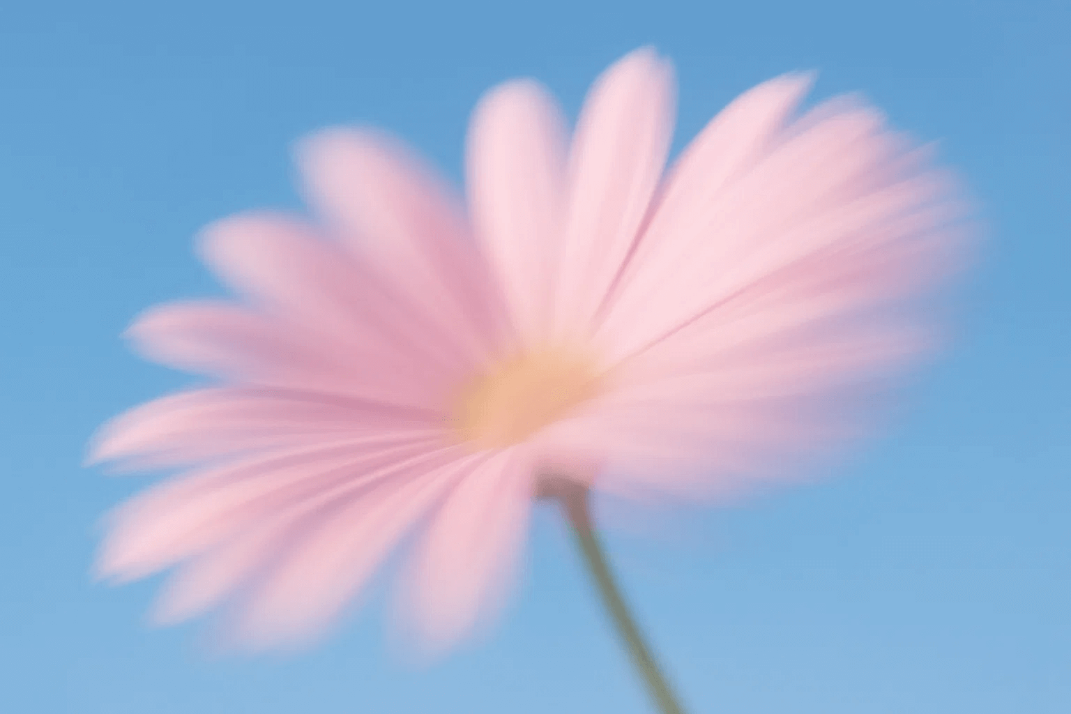 Artistic visualization